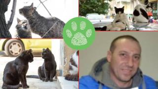 Арестуваха мъж, убивал и тормозил котки в Бургас (видео)
