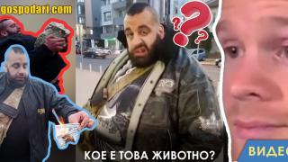 Новата ТикТок сензация Чеченеца! (видео)