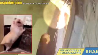 Мъж от столичен квартал реже кабели с ножица (видео)