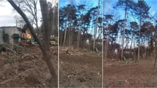В Борисовата градина пак се сече напук на общината (видео)