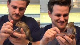 Когато си гладен, а проклетата опаковка те изнервя (видео)