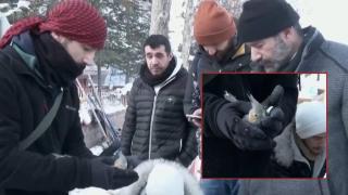 Спасиха и папагал, затиснат повече от 2 дни под руините (видео)