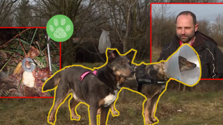 Намериха опасни капани за кучета в софийския Западен парк (видео)