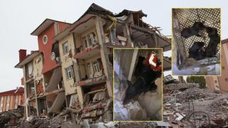 Спасиха шест новородени кучета, изхвърлени в чанта (снимки)