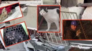 Животните в Турция помагат за откриване на стопаните си след трусовете (видео)