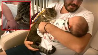 Когато котката срещне бебето на семейството за първи път (видео)