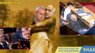 Нова любов се роди в новия парламент (видео)