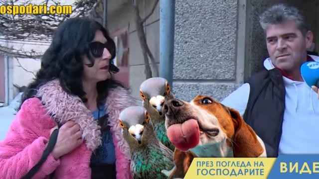 Мъж обвини жена си, че е нахранила кучетата си с гълъби, които той ѝ подарил (видео)