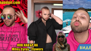 Котарачето в YouTube VS реалност (видео)