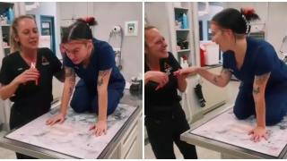 Ветеринарка имитира как реагират кучетата на рязане на нокти (видео)