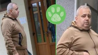 "Обещавам, че утре няма да остане и една котка" - мъж заплашва хора, спасяващи заклещено в трафопост коте (видео)