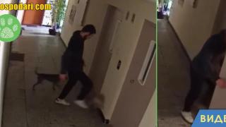 Мъж рита и дърпа куче във вход в столичен квартал (видео)