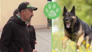 Кучетата на Йордан Лечков разкъсаха домашен любимец в Сливен (видео)