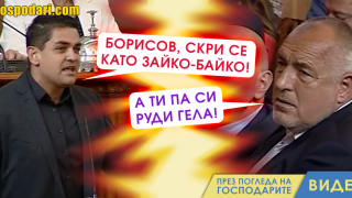 Борисов отново оприличен на животно в Парламента (видео)