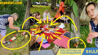 Защо има пържоли и вафли под някои дървета? (видео)
