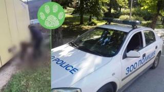 Задържаха двама младежи, измъчвали куче в Правец (видео