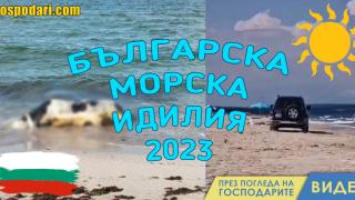 Българското Черноморие – преживяване само за ценители (видео)