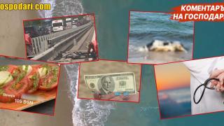 5 неща, които да НЕ правите на Българското Черноморие (Коментарът на "Господарите")