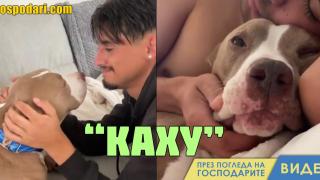 Какво означава да си „каху“ на хавайски? (видео)