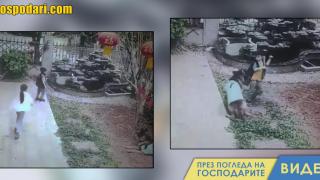 Куче предпазва дете от падане във фонтан (видео)