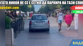 Мийм на деня: Когато никой не се е сетил да паркира на тази сянка (видео) 