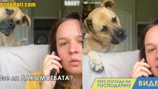 Жена говори на кучето си само с любимите му думи (видео)