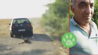 Спасиха куче, влачено от автомобил в Силистренско (видео)