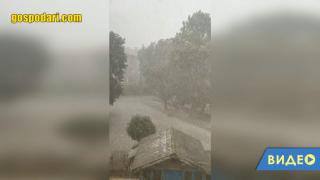 Торнадо в САЩ донесе със себе си градушка в размерите на ананас