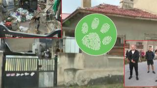 Десетки прояви на садизъм над кучета разкриват жители на Костенец (видео)