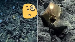 Откриха мистериозно „златно яйце“ на дъното на океана (видео)