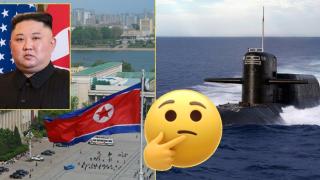 Северна Корея се похвали с първата си тактическа ядрена подводница
