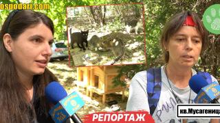 Столичен район се сдоби с жилищен комплекс за котки (РЕПОРТАЖ)