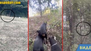 "Ето те ч*киджийо мръсен": Жена хвана мъж да мастурбира в обществен парк (видео)