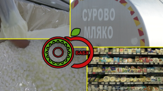 Вижте до кои далечни страни достига българското сирене