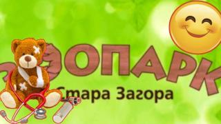 Зоопаркът в Стара загора отваря клиника за... плюшени домашни любимци
