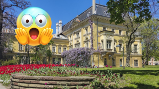 Десетки картини са повредени от Националната галерия, но виновни няма