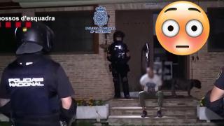 В Испания спасиха повече от 400 животни, станали жертва на трафик (видео)