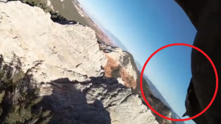 Орел сграбчи дрон в небето и го отмъкна (видео)