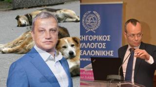 Кметът на Благоевград "никога не е предлагал" санкции за хранене на животни (РЕПОРТАЖ)