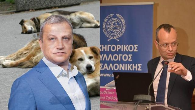 Кметът на Благоевград "никога не е предлагал" санкции за хранене на животни (РЕПОРТАЖ)