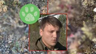 Убиха благороден елен и две кошути в Шуменско (видео)