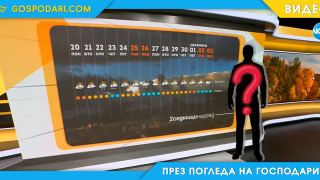 Ники Василковски искаше да води прогнозата, но нямаше желание (видео)