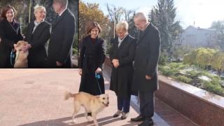 Кучето на молдовския президент ухапа австрийския държавен глава (видео)