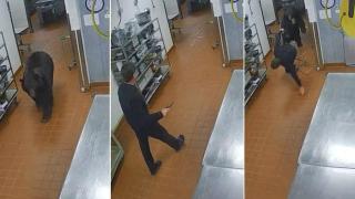 Неприятна среща между охранител и мечка в хотел (видео)