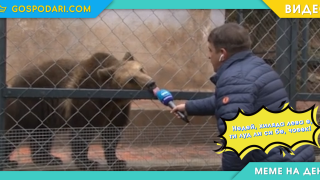 Мийм на деня: Когато новият колега иска да е оригинален (видео)