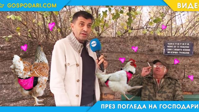 Син обвинява баща си, че блудства с кокошки (видео)