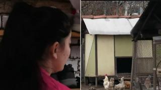 Момиченцето от пристройката е преместено в друго училище