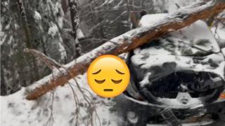 Дърво се вряза в автомобил при откриването на зимния сезон в Банско (видео)