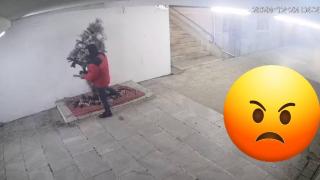 Откраднаха част от коледната украса в София и Перник (видео)