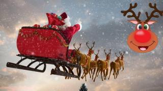 Научно списание разкри пола на елените на Дядо Коледа